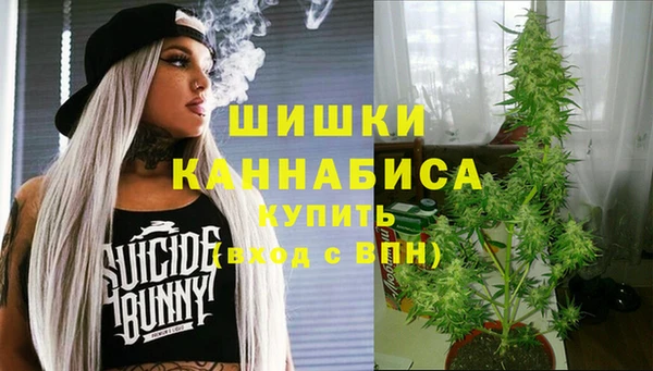 крисы Струнино